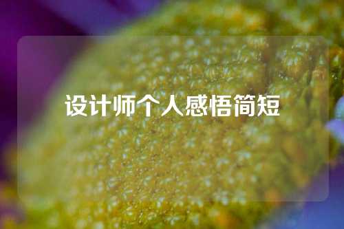 设计师个人感悟简短