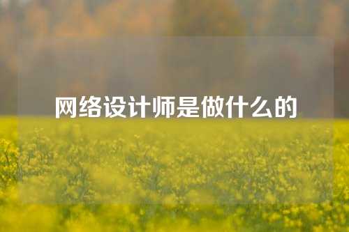 网络设计师是做什么的