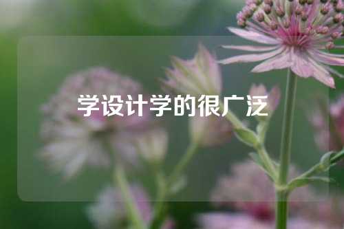 学设计学的很广泛