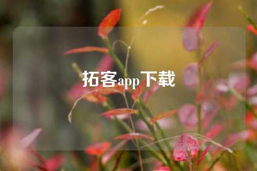 拓客app下载