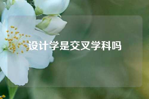 设计学是交叉学科吗