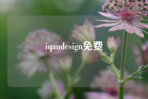 iqandesign免费