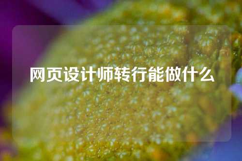 网页设计师转行能做什么