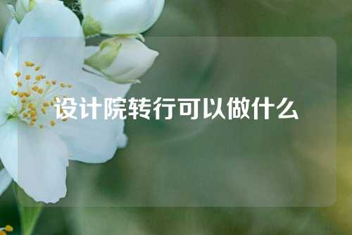 设计院转行可以做什么