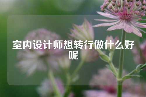 室内设计师想转行做什么好呢