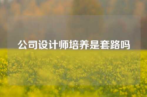 公司设计师培养是套路吗