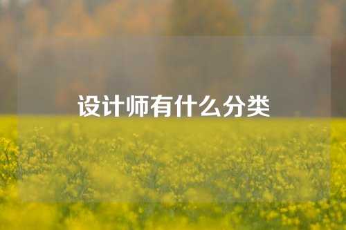 设计师有什么分类