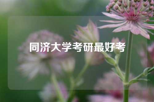 同济大学考研最好考