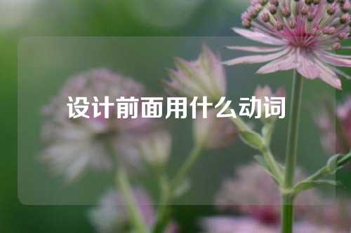 设计前面用什么动词