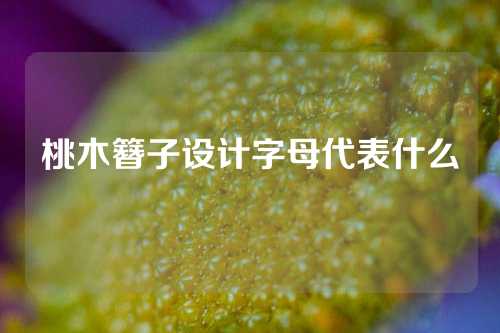 桃木簪子设计字母代表什么