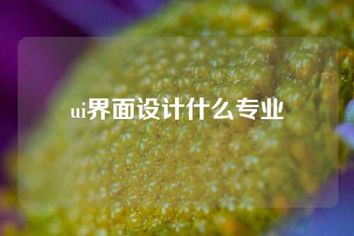 ui界面设计什么专业