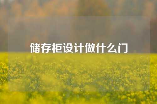 储存柜设计做什么门