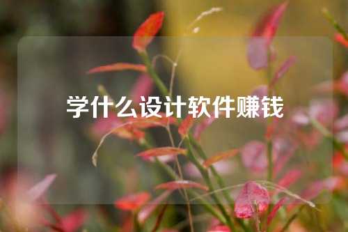 学什么设计软件赚钱