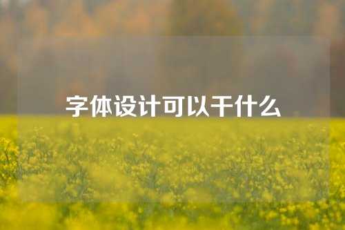 字体设计可以干什么