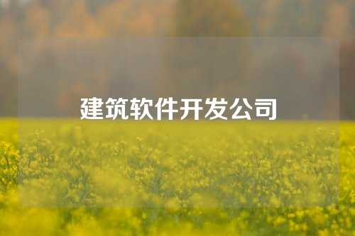 建筑软件开发公司