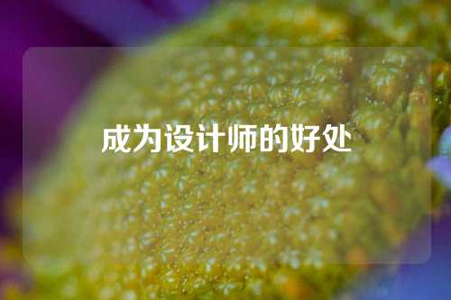 成为设计师的好处