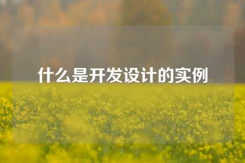 什么是开发设计的实例