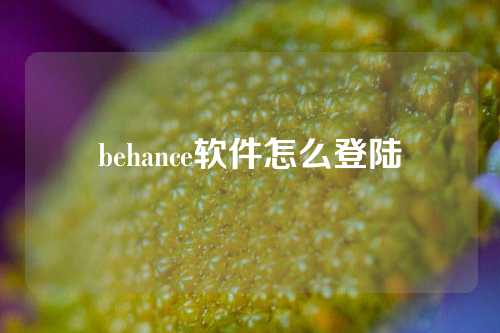 behance软件怎么登陆