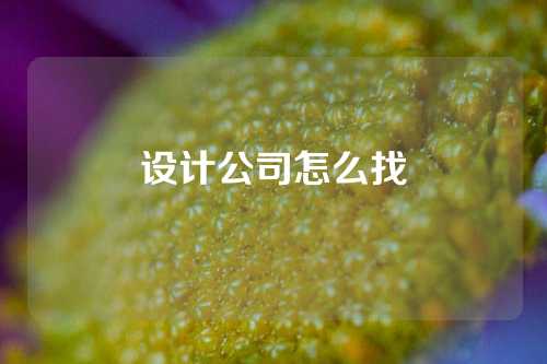 设计公司怎么找