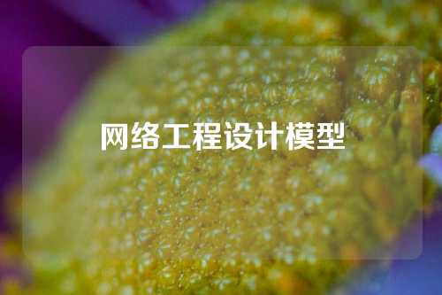 网络工程设计模型