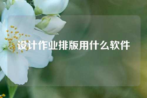 设计作业排版用什么软件