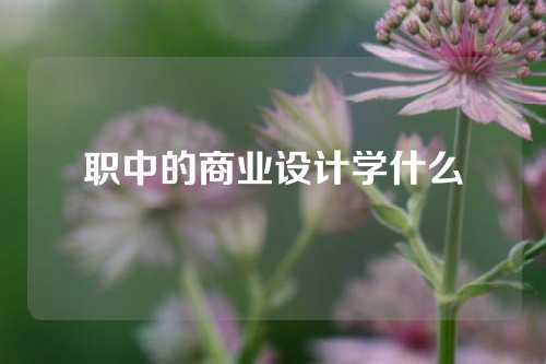 职中的商业设计学什么