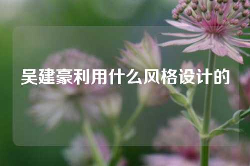 吴建豪利用什么风格设计的