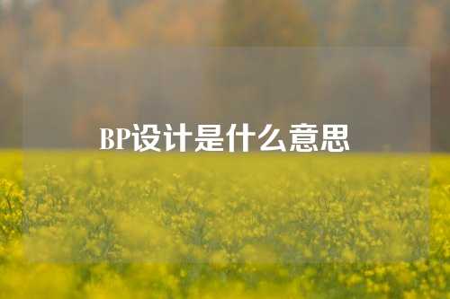 BP设计是什么意思