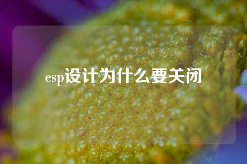 esp设计为什么要关闭