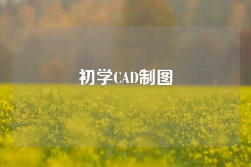 初学CAD制图