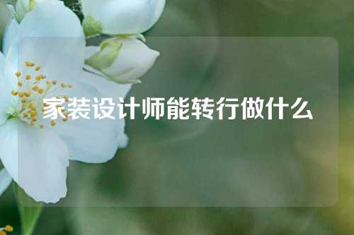 家装设计师能转行做什么