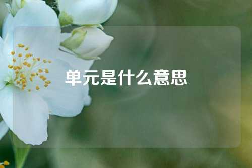 单元是什么意思