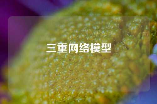 三重网络模型