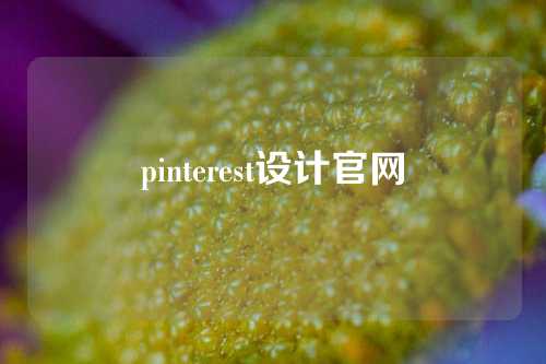 pinterest设计官网