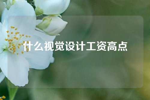 什么视觉设计工资高点