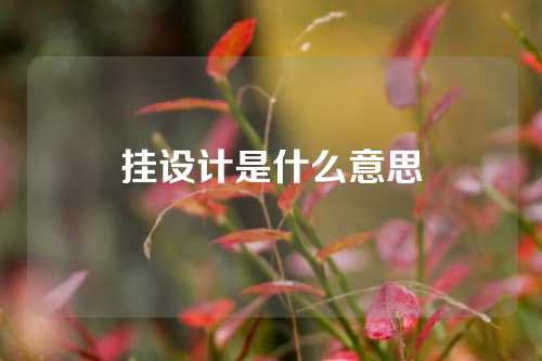 挂设计是什么意思