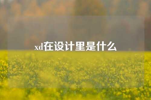 xd在设计里是什么