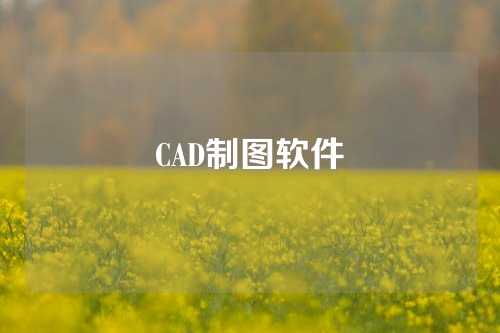 CAD制图软件