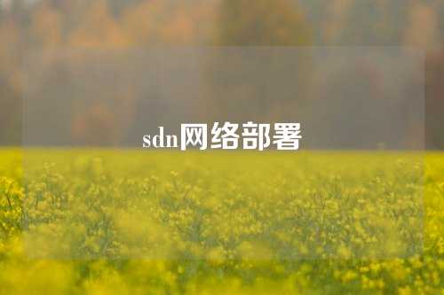 sdn网络部署