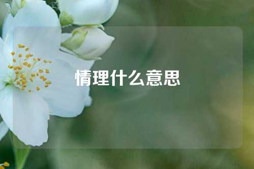 情理什么意思