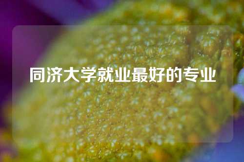 同济大学就业最好的专业