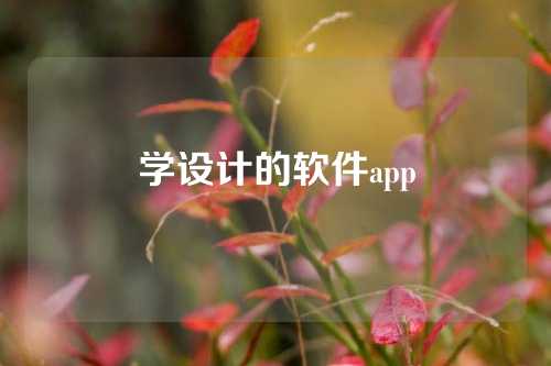 学设计的软件app