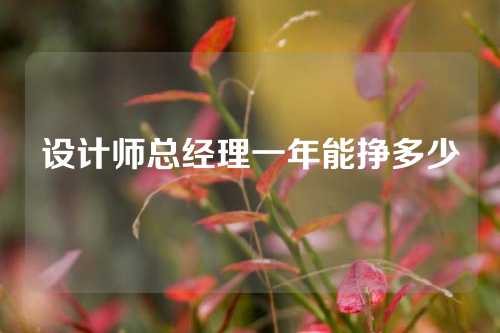 设计师总经理一年能挣多少