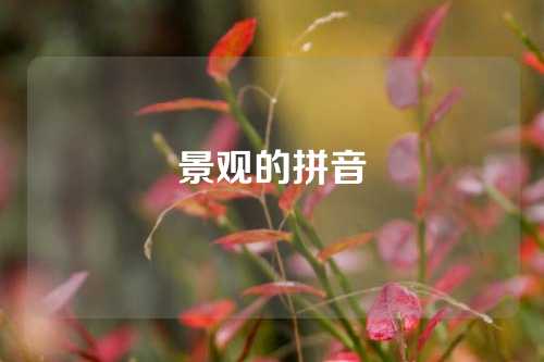 景观的拼音