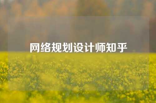 网络规划设计师知乎