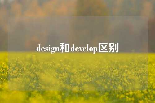 design和develop区别