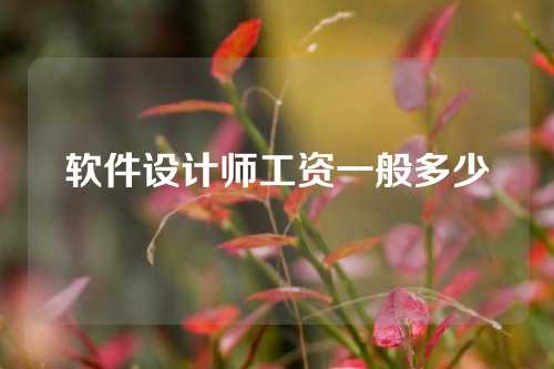 软件设计师工资一般多少