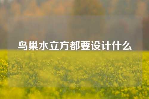 鸟巢水立方都要设计什么