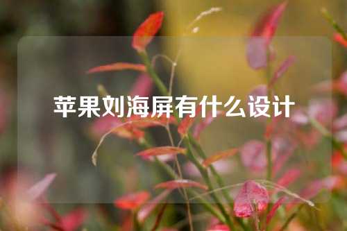 苹果刘海屏有什么设计