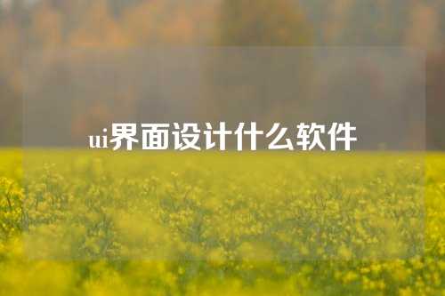 ui界面设计什么软件